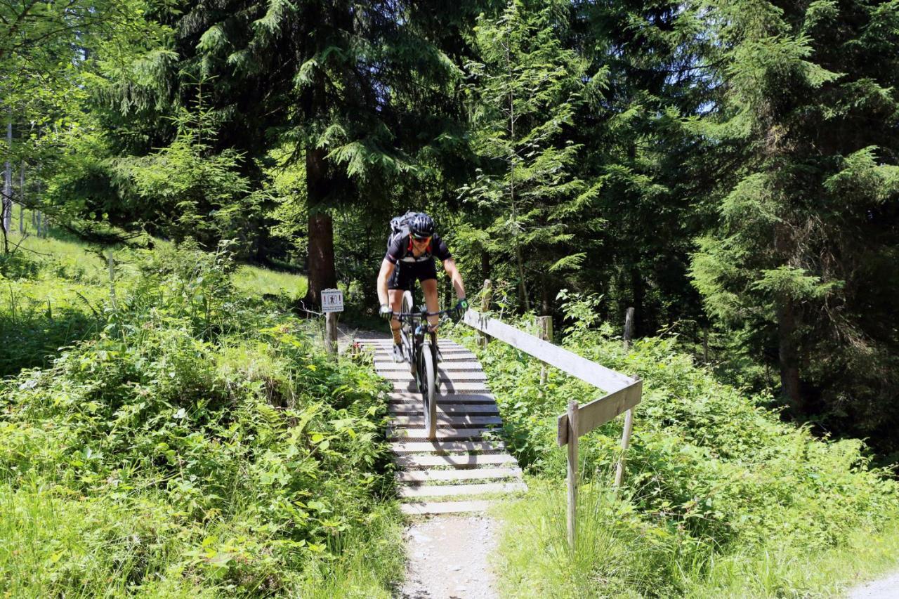 Chalet Belle Wild Going am Wilden Kaiser Buitenkant foto